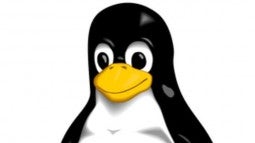 Freie Software wird immer wichtiger: Linux und Open Source im Mittelstand