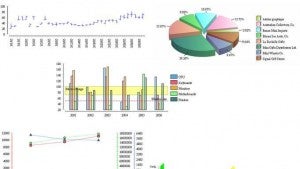 Business Intelligence and Reporting Tools: Business Intelligence mit Eclipse BIRT