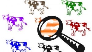 Fragen und Antworten übersichtlich strukturieren: Extensionvergleich FAQs Fragen und Antworten übersichtlich strukturieren: Extensionvergleich FAQs