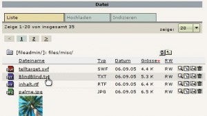 Datei-Management mit System: TYPO3 4.0: DAM