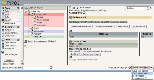 Das Seitenmodul mit geladenem Draft-Workspace. Zu erkennen sind die farblichen Markierungen für überarbeitete Seiten und Elemente sowie der Workspace-Selektor im Shortcut-Frame.
