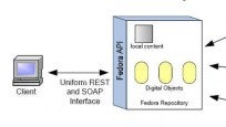 Fedora und DSpace im Praxiseinsatz: Archivierung mit Open-Source-Software