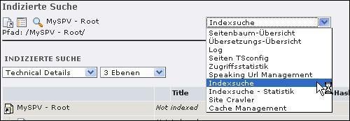 Bei der Überprüfung von Konfigurationsfehlern hilft die Indexsuche im Info-Modul von TYPO3.