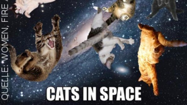 Die fast wahre Geschichte, wozu es das Internet wirklich gibt: I Can Has Cat Content? Die fast wahre Geschichte, wozu es das Internet wirklich gibt: I Can Has Cat Content?