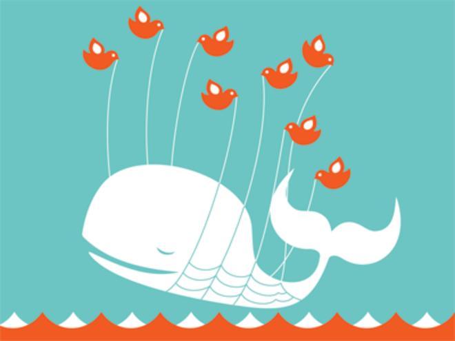 Wenn Twitter nicht funktioniert, dann fliegt der Wal.