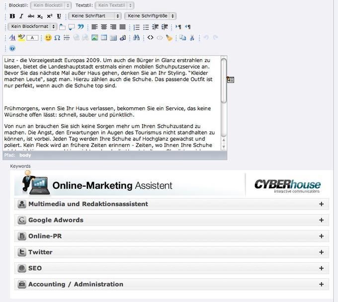 Der Online-Marketing Assistent lässt sich einfach in Seitenelemente eines CMS einbinden.