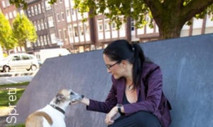 Katharina Borchert: Von der Bloggerin zum Spiegel-Online-Chef