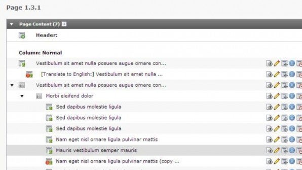 Wie Grid Elements 2.0 die Backend-Verwaltung verbessert: TYPO3 besser im Griff