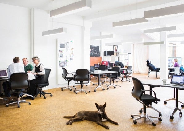 Die Tui bietet ihren Mitarbeitern im Konzern eigenen Co-Working-Space in Hannover Startup-Atmosphäre. Das steigert die Kreativität und den Erfolg, sagt die Geschäftsleitung.
