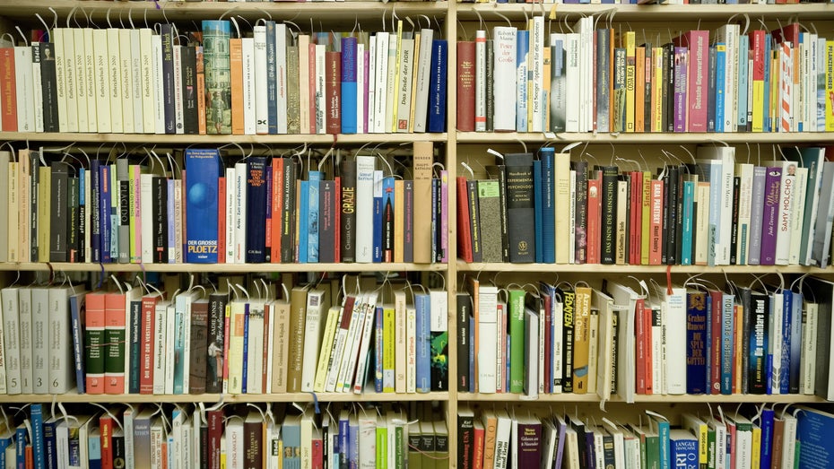 Erfolgsprinzipien, Schwarmdummheit, Co-Economy: Diese 8 Bücher solltet ihr euch anschauen