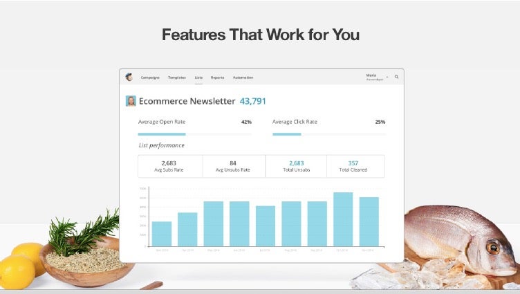 MailChimp ist der marktführende Newsletter-Dienst, an dem sich alle anderen messen müssen. (Screenshot: mailchimp.com)