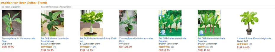 Amazons automatische Personalisierung ist exemplarisch: Im Anschluss an die Suche nach einer Büropflanze zeigte der Shop beispielsweise weitere Pflanzen an, die den zuvor angesehenen Produkten nahekommen.