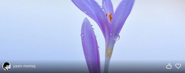 Fast nicht zu sehen: Bei Mouse-Over erscheint auf den Bildern der Foto-Plattform 500px (https://500px.com) ein ganz feiner Verlauf, der dafür sorgt, dass die Namen der Fotografen leserlich bleiben. Fast nicht zu sehen: Bei Mouse-Over erscheint auf den Bildern der Foto-Plattform 500px (https://500px.com) ein ganz feiner Verlauf, der dafür sorgt, dass die Namen der Fotografen leserlich bleiben.