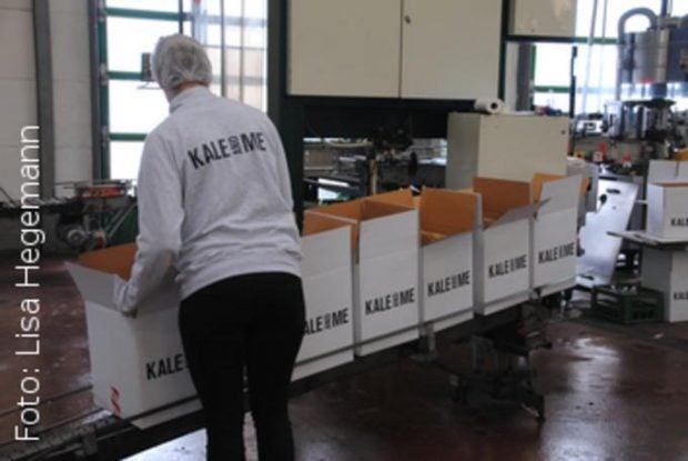 Annemarie Heyl packt die Pakete für die Kunden. Die Kartons sind mit Stroh ausgelegt, um die Säfte während des Transports zu kühlen. Das Stroh ist zwar teurer, aber umweltfreundlicher als Styropor. Annemarie Heyl packt die Pakete für die Kunden. Die Kartons sind mit Stroh ausgelegt, um die Säfte während des Transports zu kühlen. Das Stroh ist zwar teurer, aber umweltfreundlicher als Styropor.