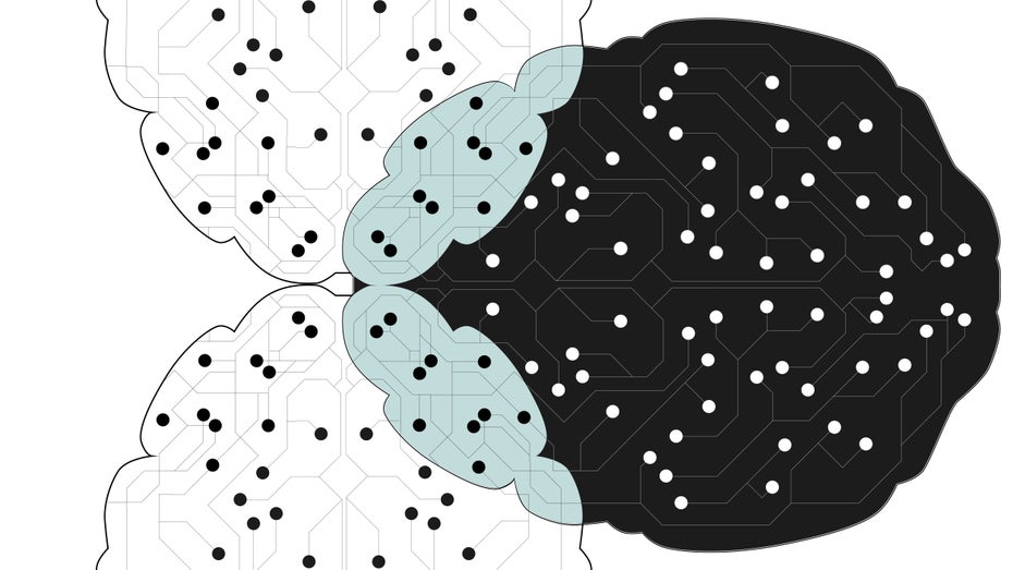 Transfer Learning: Das Wundermittel für mehr Intelligenz?