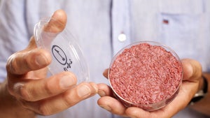 Food-Tech: Wie Startups klimafreundliche Burger heranzüchten