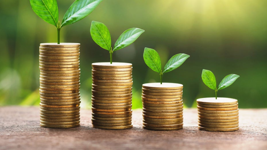 Think Green: Wie Fintechs und Banken Nachhaltigkeit entdecken Think Green: Wie Fintechs und Banken Nachhaltigkeit entdecken
