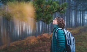 Enjoy the Silence: Waldbaden und Dopaminfasten – entspannt das wirklich?