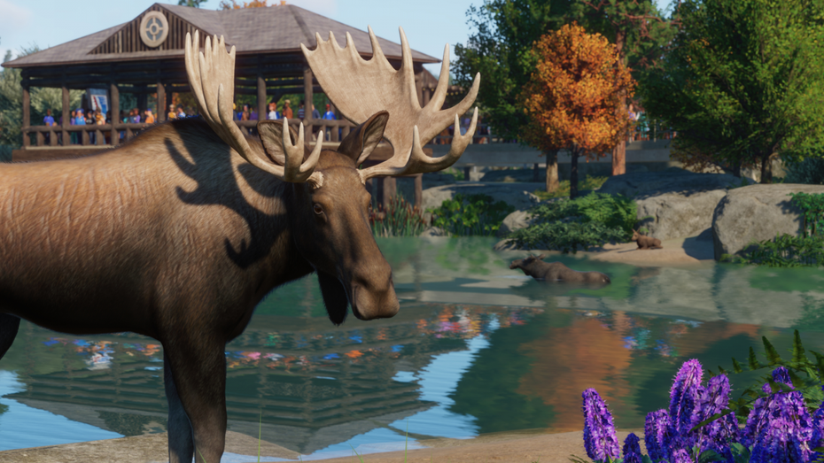 Die Entwickler des Spiels Planet Zoo versuchen, die virtuellen Tiere möglichst realistisch darzustellen. Inklusive Verhalten, Bewegungen und Persönlichkeit. Oben drauf gibt es echte Tonaufnahmen. (Abbildungen: Frontier Developments) Waldbrände und unbewohnbare Gebiete: Wie Games zur Umwelt-Zeitkapsel werden