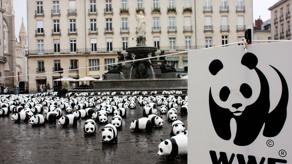 WWF-Shitstorm: Warum Krisenkommunikation nicht um 18 Uhr enden sollte