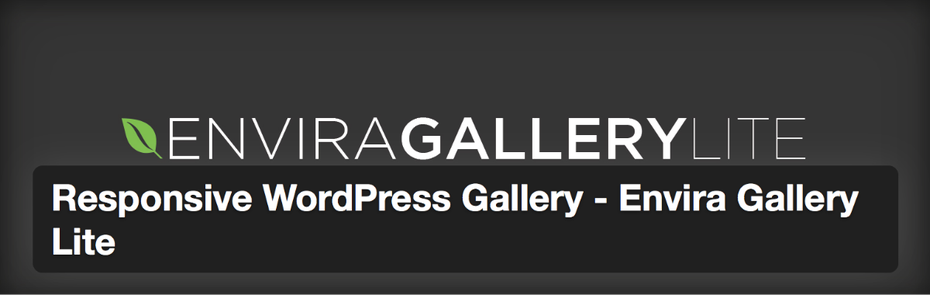 Das Gallery-Plugin Envira Gallery für WordPress