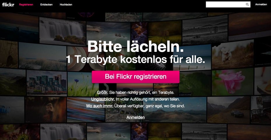 Flickr setzte schon 2004 einen Trend mit seinem Namen. Heute sind dort bereits etwa 8 Milliarden Fotos zu finden. (Screenshot: flickr.com)