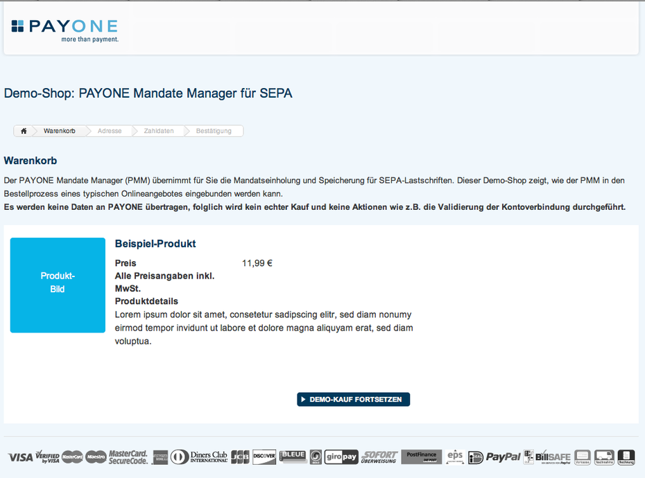 Der SEPA-Demoshop von Payone. (Screenshot: Payone)
