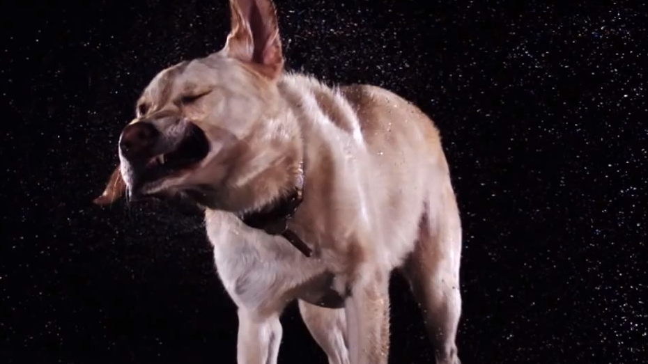 Faszination Zeitlupe: Wie du Slow-Motion-Videos mit dem Smartphone machst Faszination Zeitlupe: Wie du Slow-Motion-Videos mit dem Smartphone machst