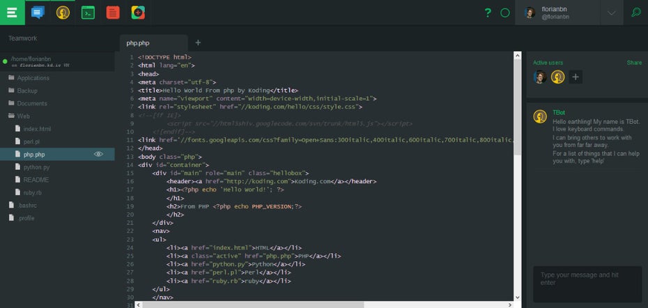 Das Interface von Koding. (Screenshot: t3n)