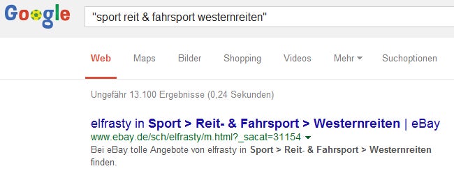Als Keywords eingebuchte Kategorien von eBay. (Screenshot: Holger Schulz)
