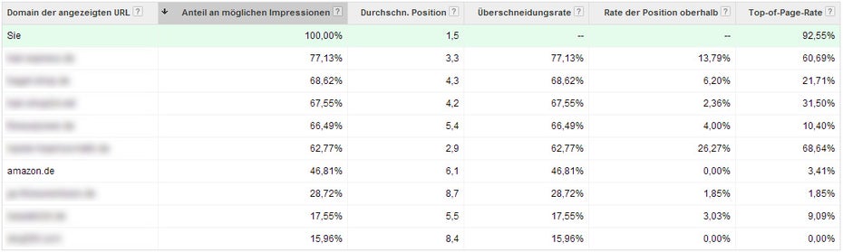 Welcher Konkurrent bietet auf den eigenen Markennamen? Dieser Bericht gibt Einblick. (Screenshot: Daniel Köhler)