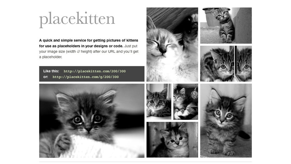 Katzen, Bacon, Hollywood-Stars: Die coolsten Quellen für Platzhalter-Bilder im Netz Katzen, Bacon, Hollywood-Stars: Die coolsten Quellen für Platzhalter-Bilder im Netz