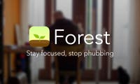 Mit virtuellen Bäumen produktiver arbeiten: Das steckt hinter der App Forest