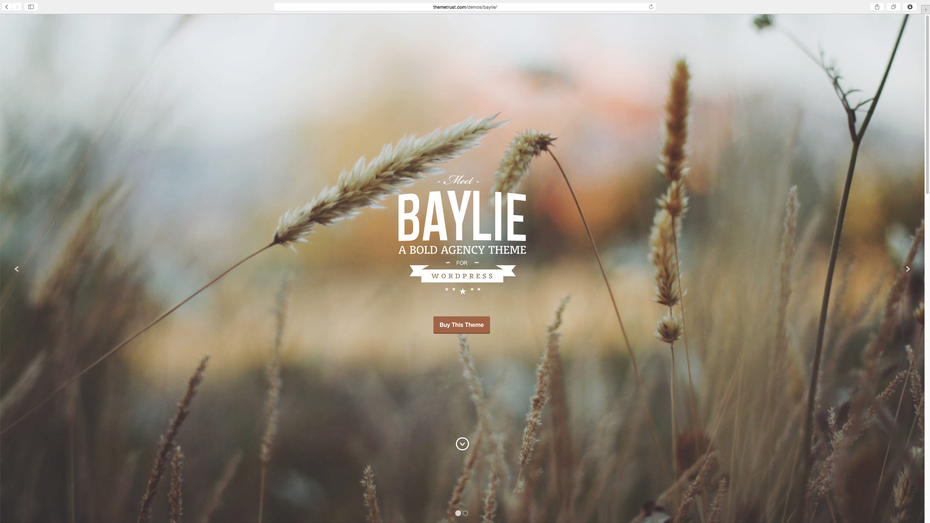 Baylie: Parallax WordPress Theme