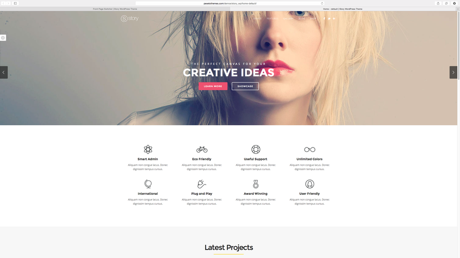 Story: Parallax WordPress Theme.