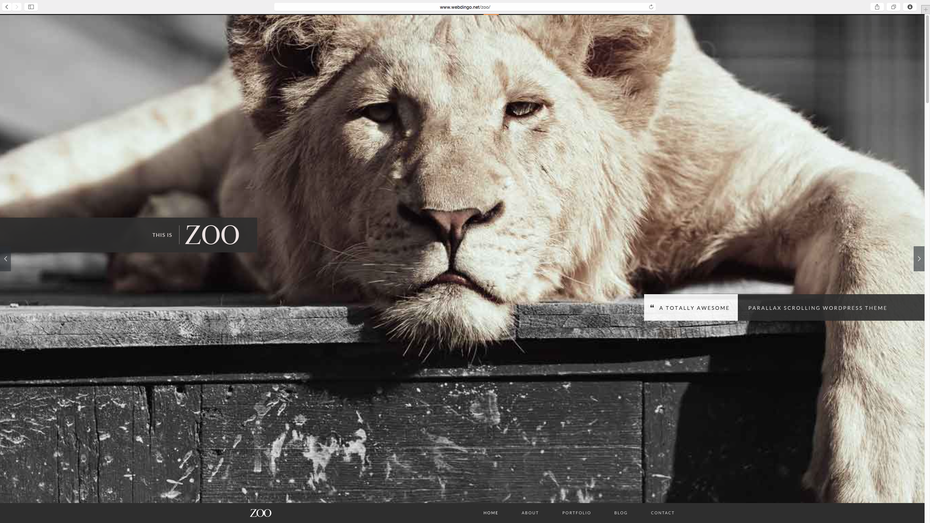 Zoo: Parallax WordPress Theme.