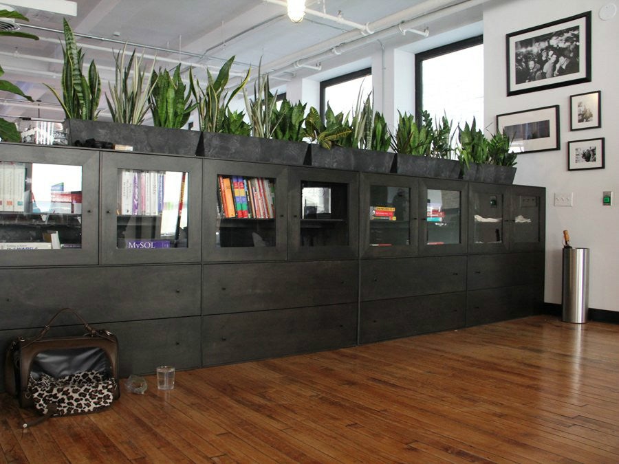 Schick und grün: Die Büroräume von Tumblr in New York. (Foto: Daniel Goodman / Business Insider)