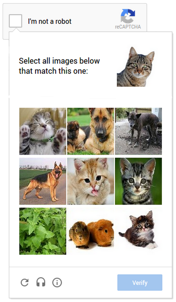 Katzenbilder sollen auch auf dem Smartphone für bequeme Captcha sorgen. (Screenshot: Google)