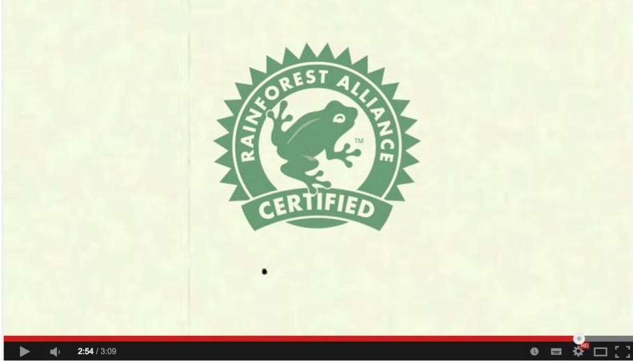 Ein lustiges Beispiel liefert die Umweltorganisation Rainforest-Alliance mit dem viralen Video „Follow the Frog“. Mit einer ordentlichen Portion schmerzhafter Satire konfrontiert uns das Video und appelliert ganz nebenbei an die eigene Initiative. Das bleibt im Gedächtnis. (Screenshot: youtube.com)