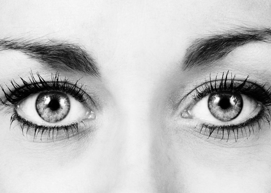 Augenkontakt ist notwendig, um Menschen zu überzeugen. (Foto: Jason Salmon – Shutterstock.com)