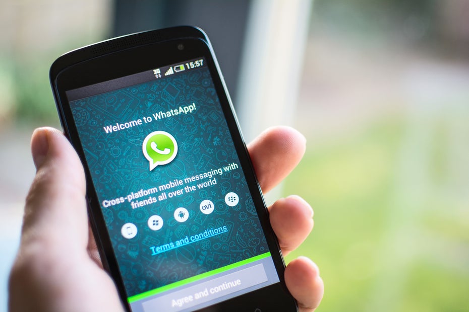 Kennst du alle WhatsApp-Funktionen? (Foto: Twin Design / Shutterstock.com)