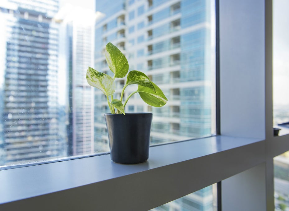 Die Luftqualität im Büro hat erheblichen Einfluss auf die Produktivität der Mitarbeiter. Zudem kann schlechte Luft zu erhöhten Krankheitsfällen sorgen. (Foto: Shutterstock)