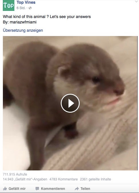 Tiervideos erfreuen sich auf Facebook einer großen Beliebtheit. (Screenshot: Facebook)