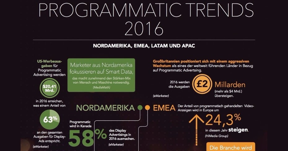 Programmatic Advertising-Trends 2016. (Grafik: Frische Fische; MediaMath)