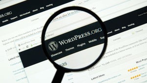 Neuer Rekord: 30 Prozent aller Websites nutzen WordPress