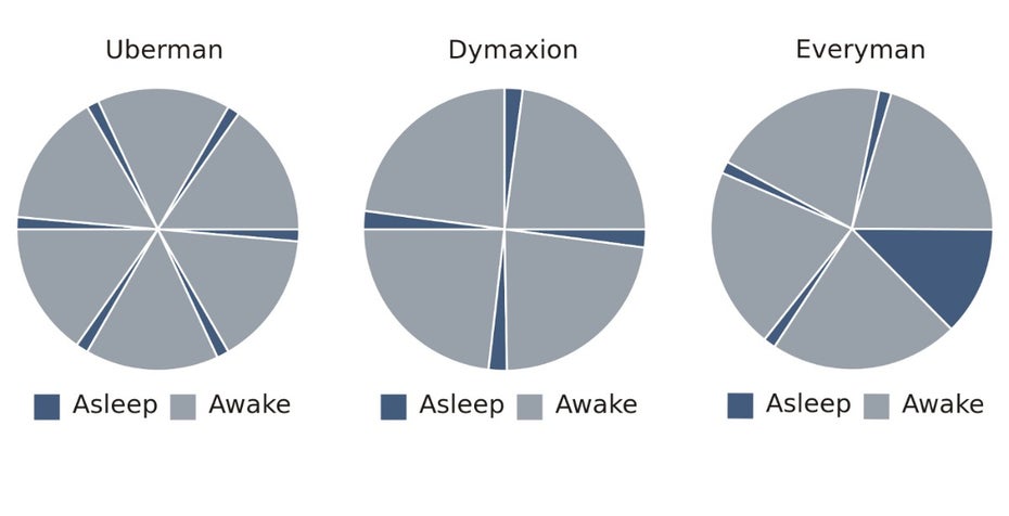 Polyphasische Schlafmodelle 2