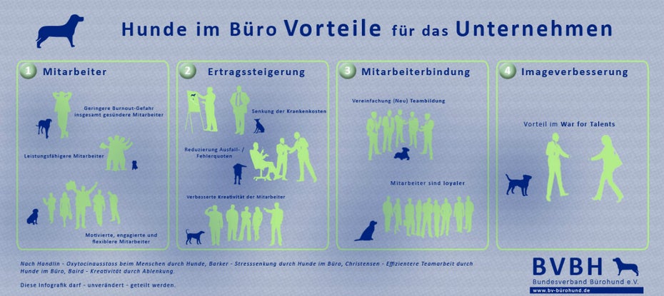 Ein Bürohund kann Mitarbeitern und Unternehmen Vorteile bringen. (Infografik: Bundesverband Bürohund)