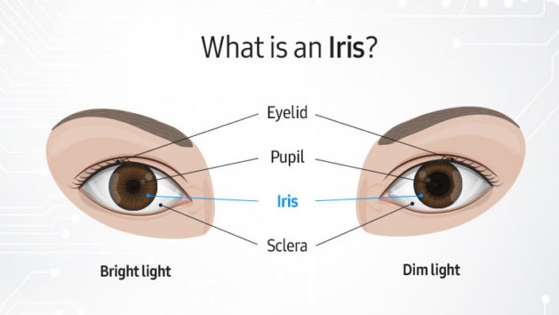 Iris-Scan: Ist das neue Verfahren sicherer als ein Fingerabdruck?