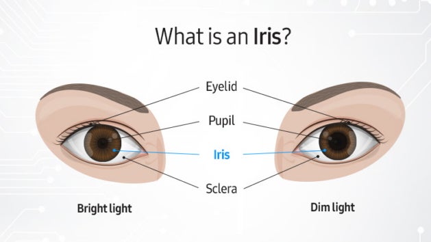 Iris-Scan: Ist das neue Verfahren sicherer als ein Fingerabdruck? Iris-Scan: Ist das neue Verfahren sicherer als ein Fingerabdruck?