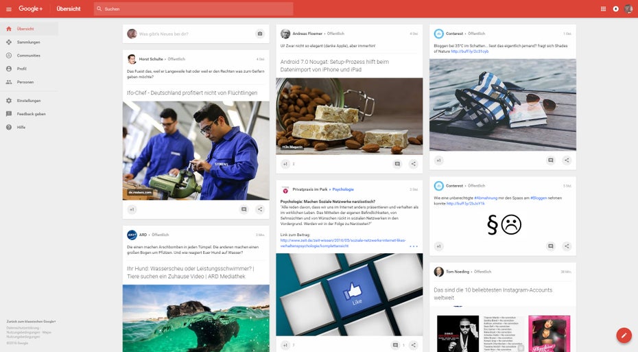 Google+: Konsequentes Kartendesign über alle Geräte. (Screenshot: t3n)